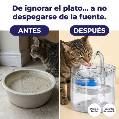 Últimas unidades | NuvaPet™ Fuente de Agua Premium para Mascotas