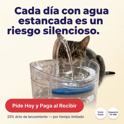 Últimas unidades | NuvaPet™ Fuente de Agua Premium para Mascotas